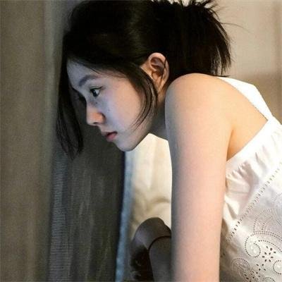 真爱狗公园