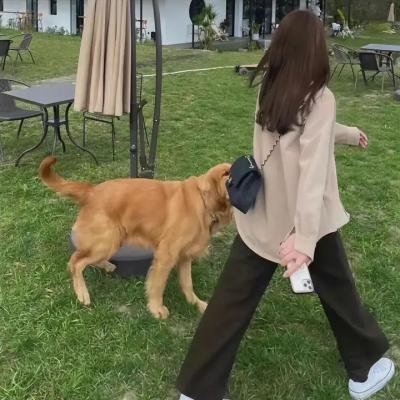 人狼游戏:疯狂的狐狸